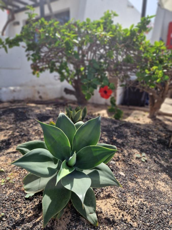 코라레호 Casa Vivi Fuerteventura 아파트 외부 사진