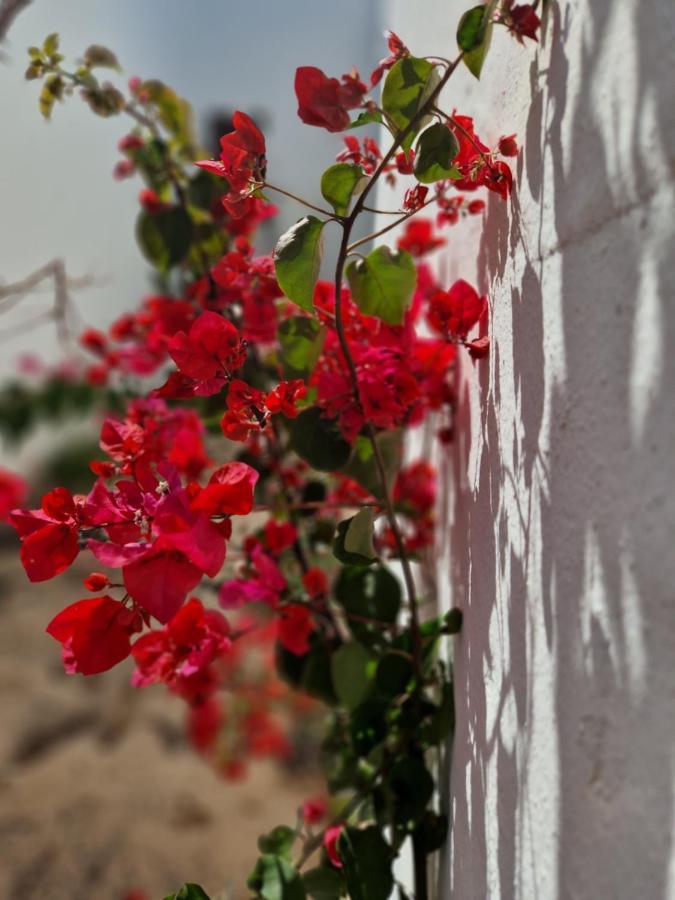 코라레호 Casa Vivi Fuerteventura 아파트 외부 사진