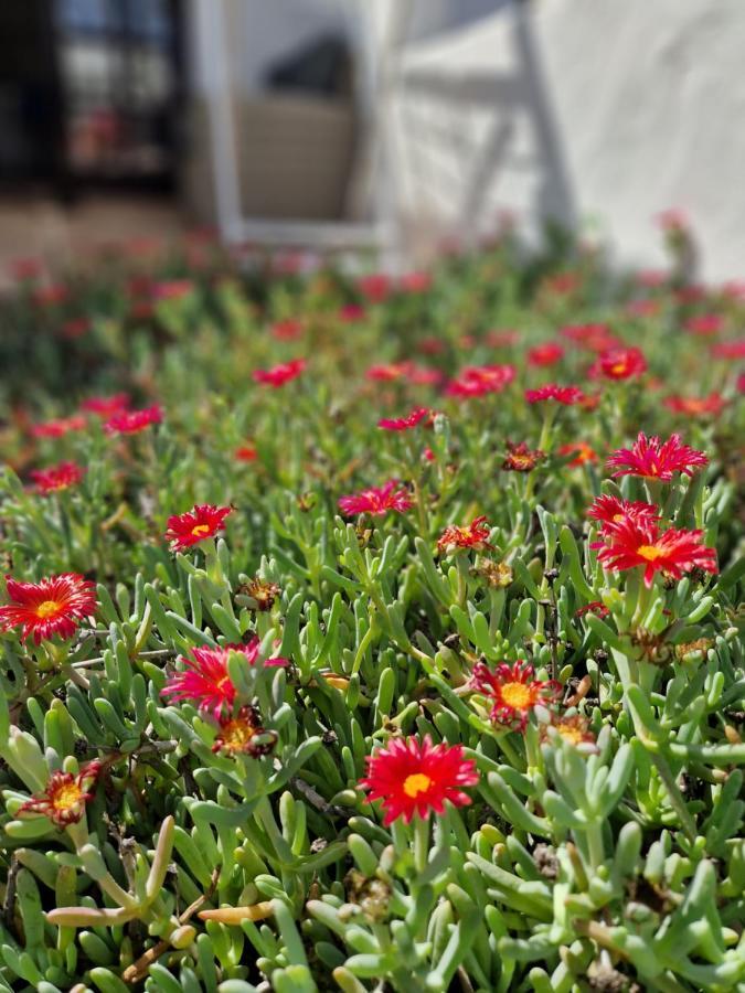 코라레호 Casa Vivi Fuerteventura 아파트 외부 사진